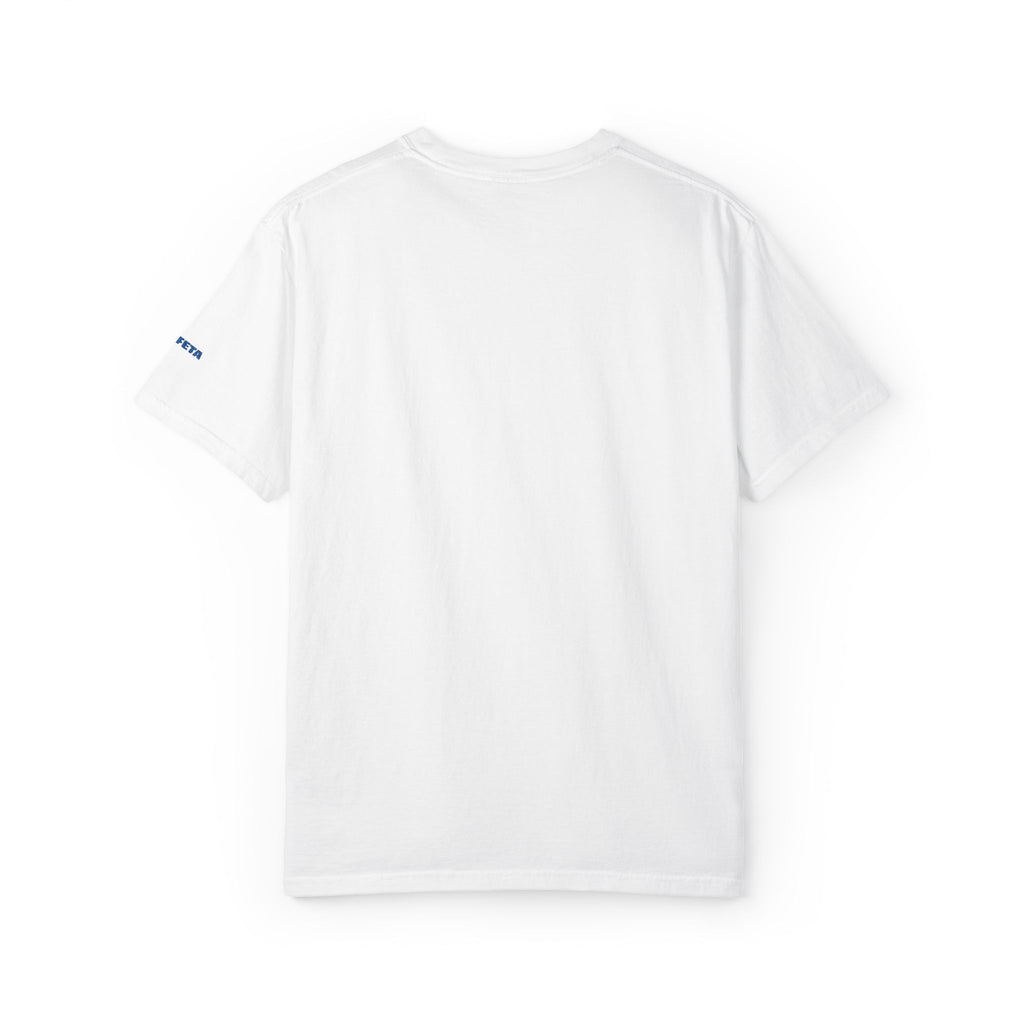 BIG FETA - The Plain White T-Shirt